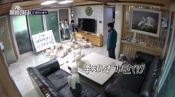  KBS2 <개는 훌륭하다>의 한 장면.