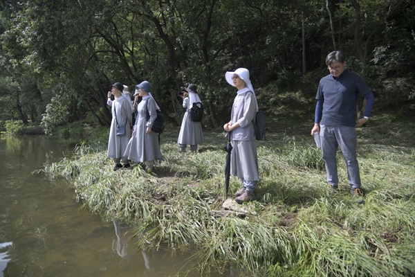 수녀들이 왕버들 숲에서 금호강을 바라보고 있다. 