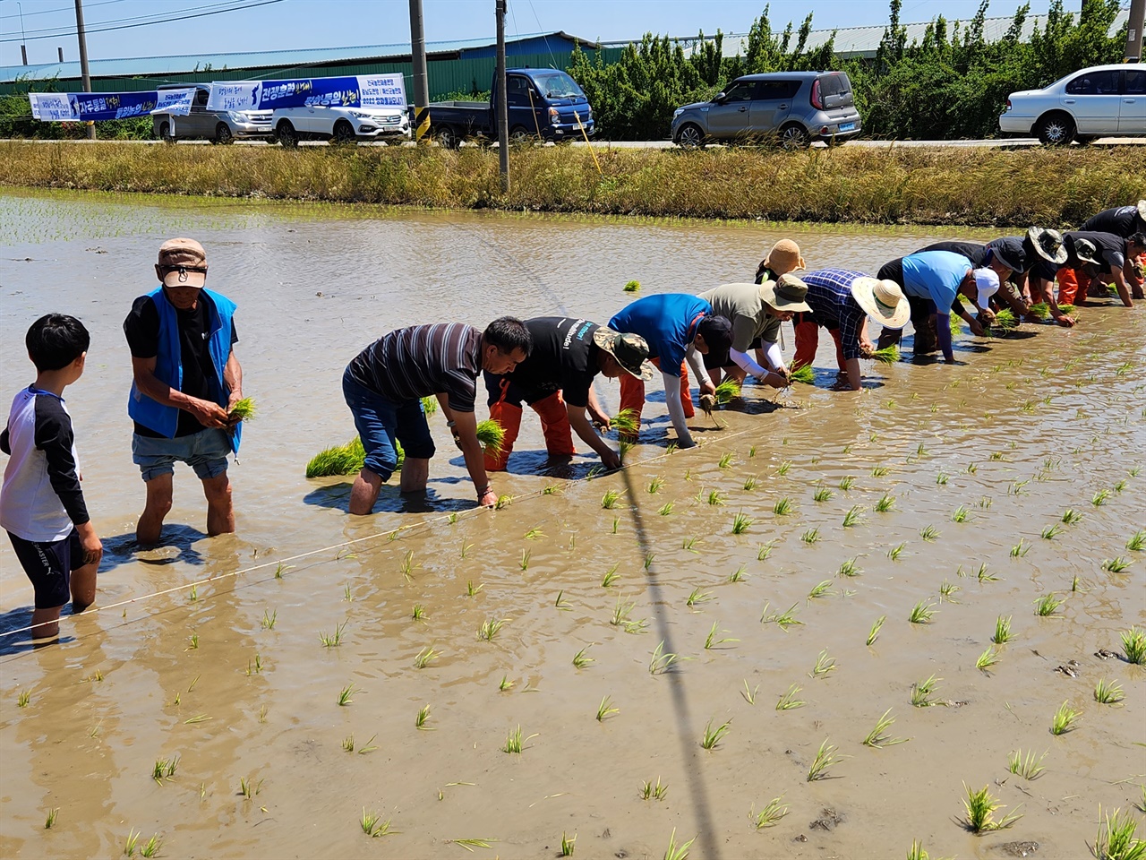 농민과 시민활동가들이 지난 3일 충남 예산군 신암면에서 열린 통일쌀 모내기 행사에서 모를 심고 있다. 
