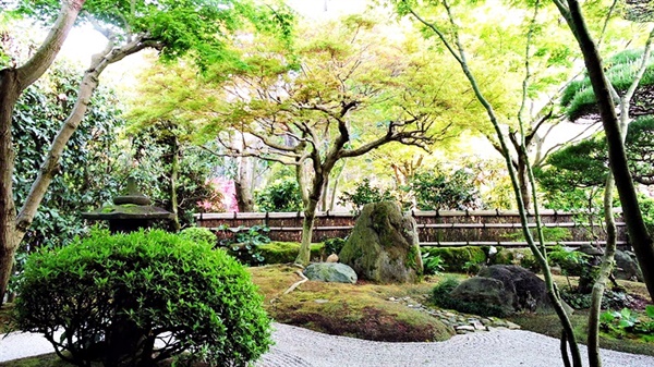 일본정원의 진수를 보여주는 듯 초록의 그라데이션이 봄의 절정이었다
