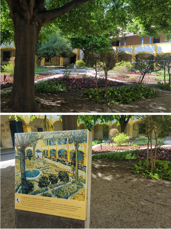 위의 사진은 아를 정신병원 정원의 현재 모습이고 아래는 고흐가 그림 정원 모습이다.