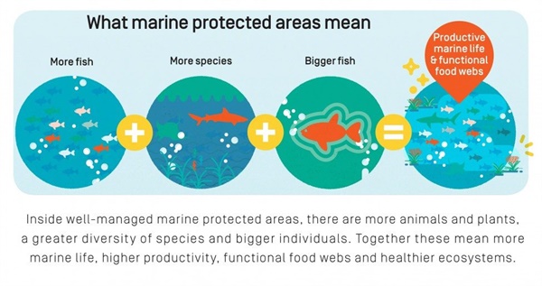 해양보호구역의 직접적인 효과, 출처: Ivan Colic, Save Our Seas magazine