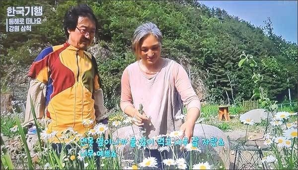  EBS <한국 기행>의 한 장면. 시와 음악을 사랑하는 김상아와 김민서 부부가 들꽃을 가꾸는 다정한 한때