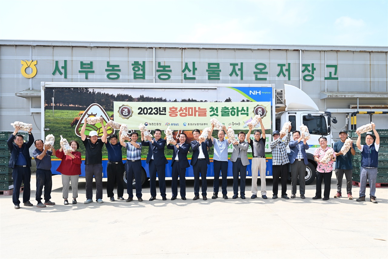 홍성군은 지난 15일 서부농협 공동 선별장에서 2023년산 홍성 마늘 출하식을 개최하고 본격적으로 출하를 시작했다.