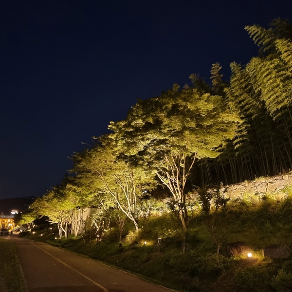  진주 망경동 남강둔치 경관조명.