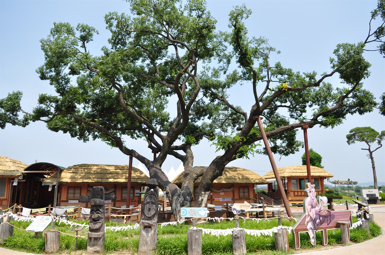 수령 500년의 팽나무와 주막촌의 모습
