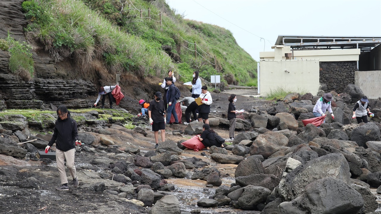 시민들이 해변에서 쓰레기를 줍는 모습 