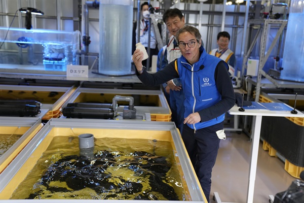 라파엘 마리아노 그로시 국제원자력기구 사무총장이 2023년 7월 5일 일본 북동부 오쿠마의 손상된 후쿠시마 원자력 발전소를 방문한 가운데 실험실에서 처리된 폐수로 채워진 어항에 넙치에게 먹이를 준 후 빈 병을 보여주고 있다.