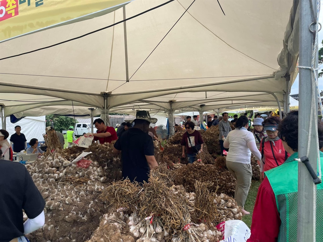 서산 6쪽 마늘 축제가 열리는 가운데, 시민과 관광객들이 6쪽 마늘을 구매하고 있다. 