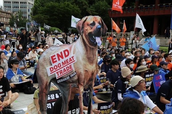 동물보호단체들이 초복을 앞둔 8일 낮 12시, 서울 보신각 앞에서 ‘2023 개식용 종식 촉구 국민대집회'를 개최했다. 
