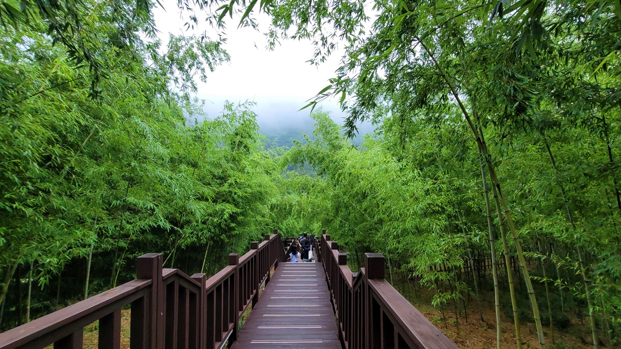 월아산정원박람회가 7월 12일까지 열리는 <월아산숲속의진주> 대숲