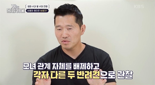  KBS2 <개는 훌륭하다> 한 장면. 