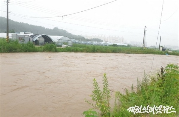 15일 오전 6시 30분 충북 제천 고암천의 물이 불어나면서 범람 우려가 나오고 있다.