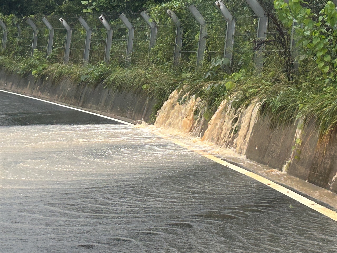 청양읍 고운식물원으로 향하는 도로에도 인근 산에서 내려오는 토사와 빗물로 통행에 어려움을 겪고 있다.