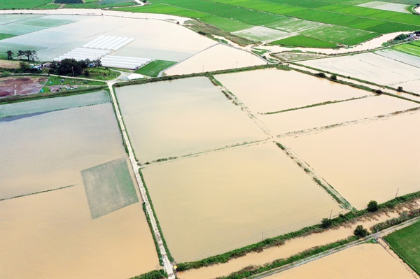 호우 특보가 발효된 17일 오후 전남 해남군 한 농경지가 침수돼 있다.