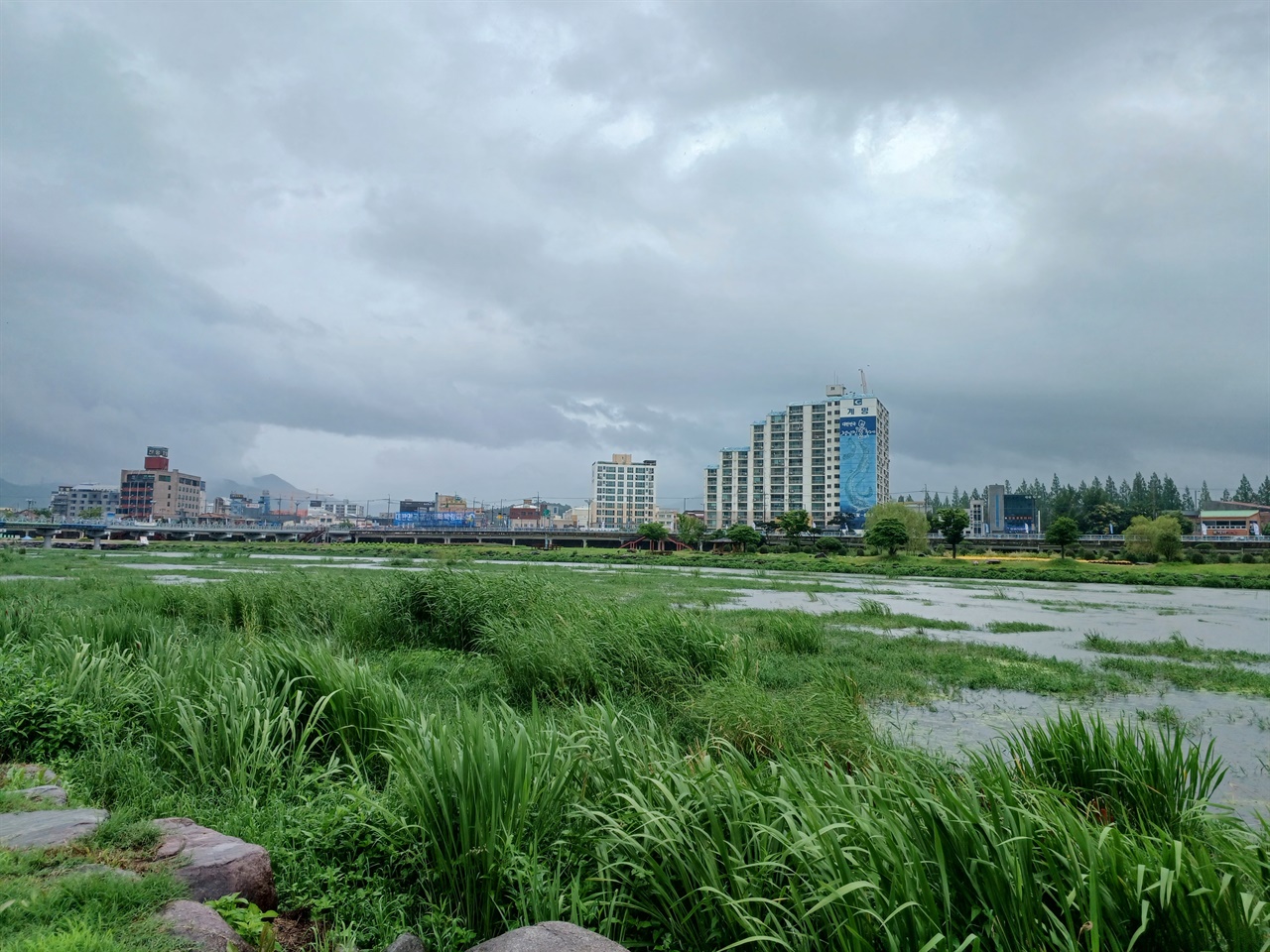강 건너 장흥읍내가 보인다. 탐진강에서는 매년 7월 말에서 8월 초 사이에 물축제가 열린다.