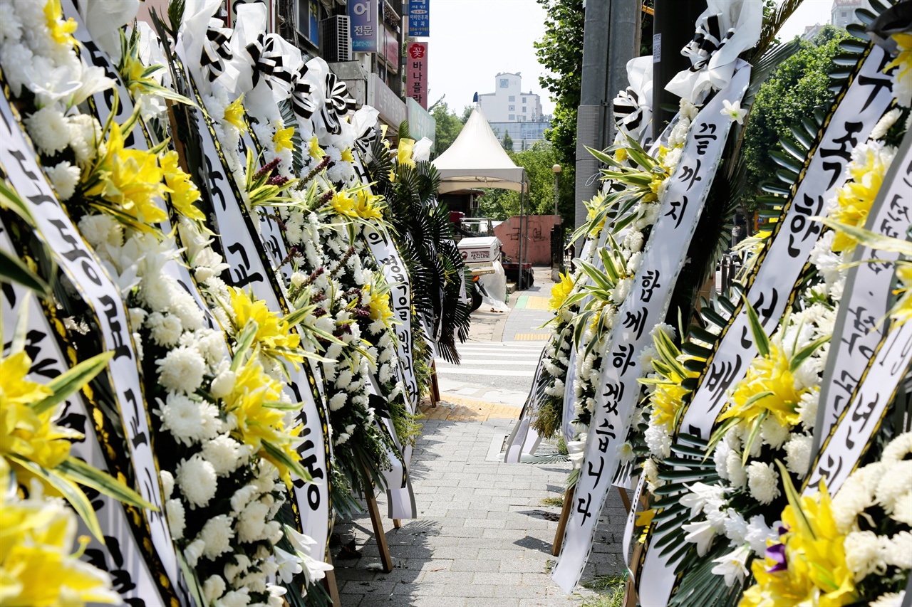 서울 서초구 S초등학교 앞에는 전국 각지에서 보내온 추모의 조화들이 수백개씩 세워져 숨진 교사의 죽음을 애도하고 있다.
