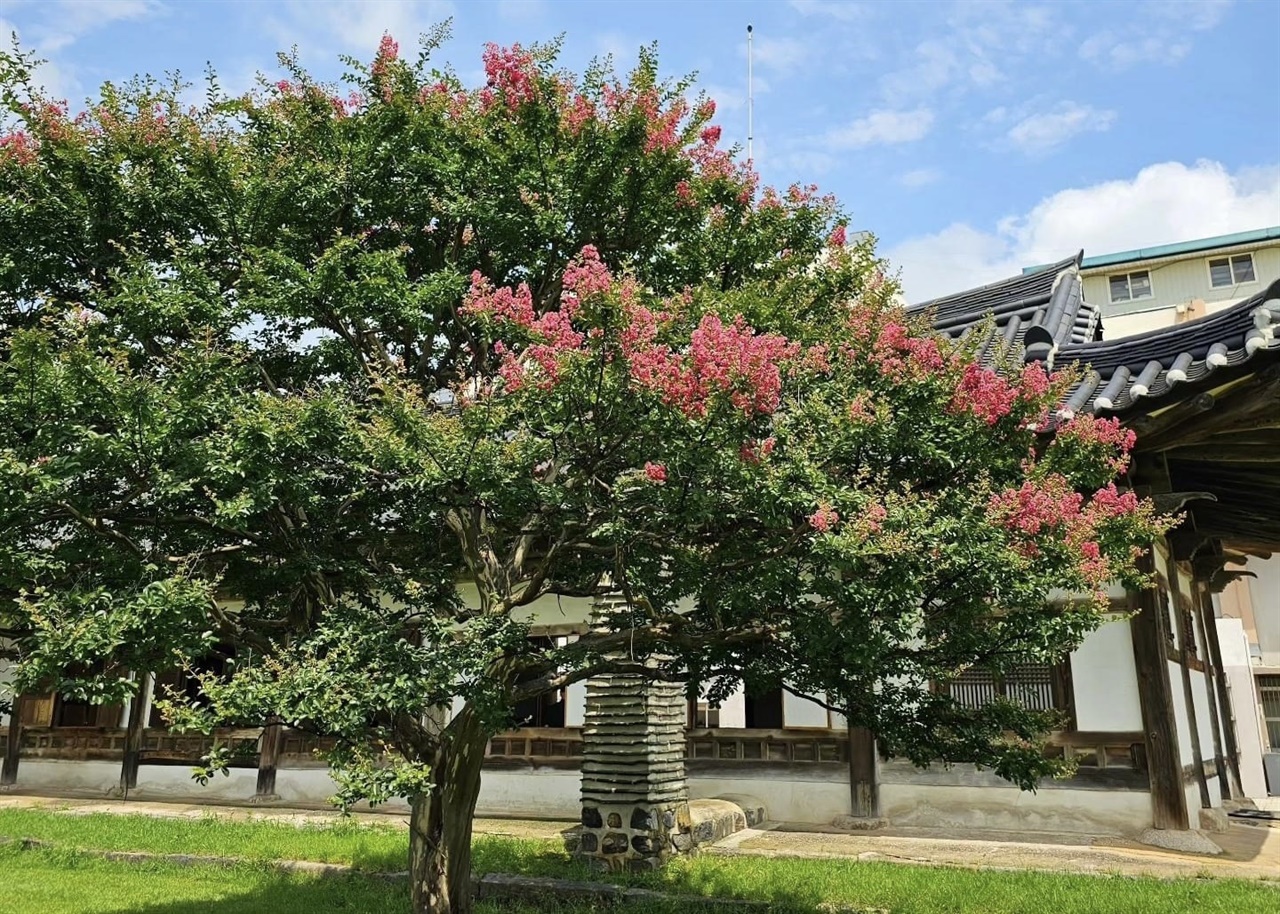 배롱나무꽃이 피어있는 안회당은 홍주목의 동헌으로 고종 7년(1870) 4월에 상량한 것으로 전해지며, 홍주목사가 업무를 보던 곳이다.