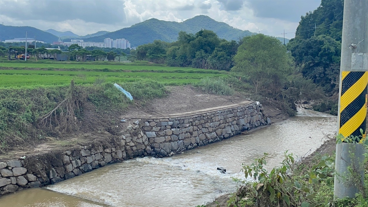 4대강 사업 당시 준설로 역생침식이 발생한 곳에 축대를 쌓아 놓았지만 이번 홍수에 다시 농경지 일부가 침수붕괴된 모습