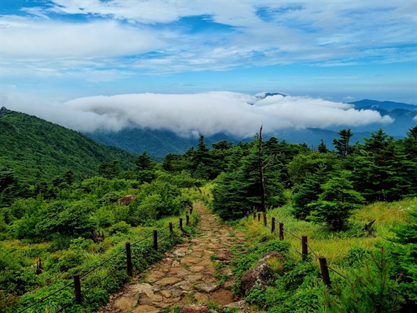  제석봉에서 바라 본 풍경