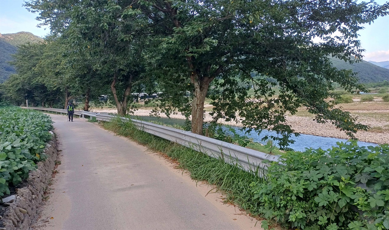 이순신길을 따라 걷기에 나선 문병빈 전 교사가 구례 섬진강변을 따라 걷고 있다. 지난 8월 6일 해지기 직전 모습이다.