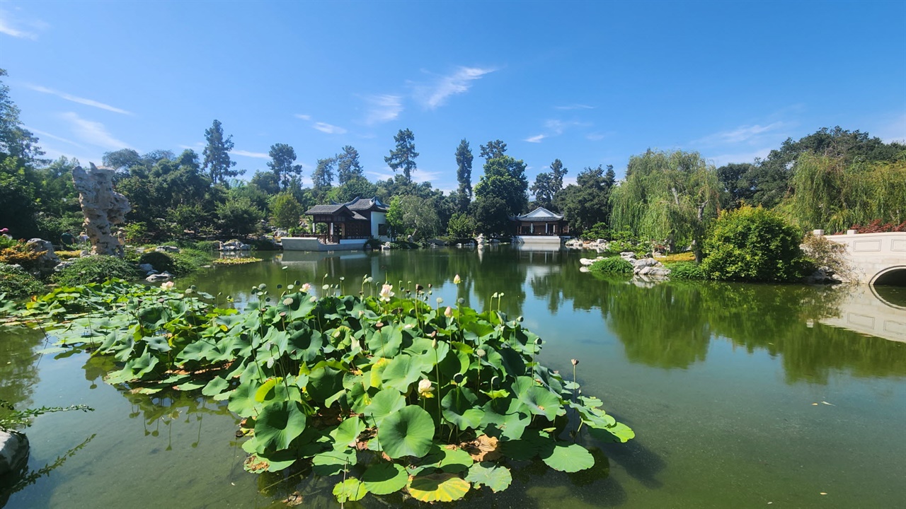 일반인들의 인기있는 나들이 장소가 된 허팅턴 정원 중의 하나인 중국정원