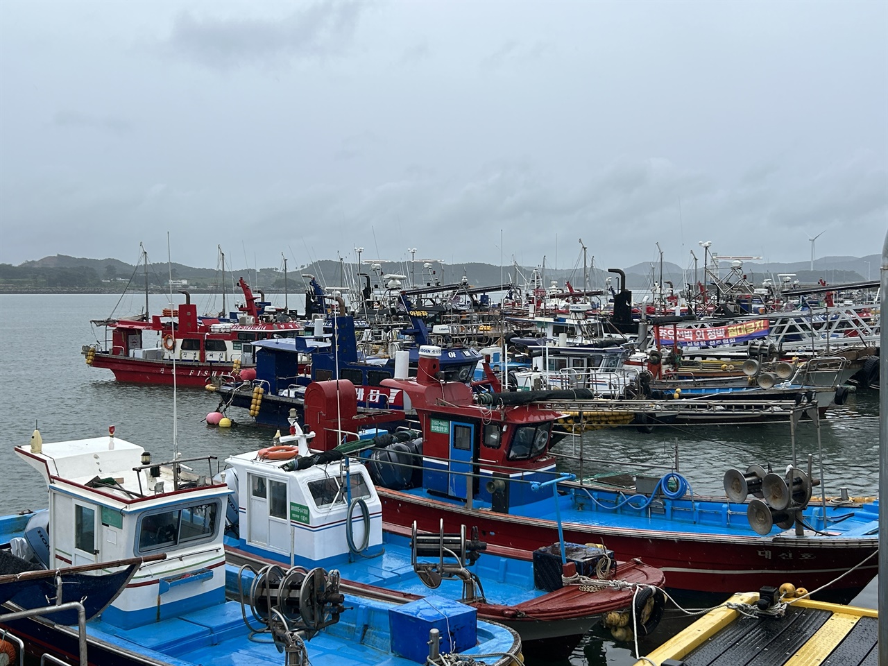 홍성군 서부면 남당항에는 비가 내리는 가운데, 태풍을 피해 어선들이 피항해 있다.
