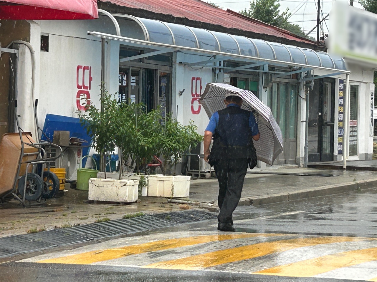 전국이 제6호 태풍 ‘카눈’의 영향권에 들면서, 바람이 거세지고 비가 내리고 있다. 홍성군 갈산면에서 한 어르신이 우산을 쓰고 힘겹게 걸어가고 있다. 