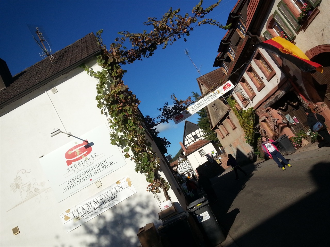 포도와 와인으로 180농가가 상생하는 생산공동체, 독일 ‘라인스바일러(Leinsweiler)마을'