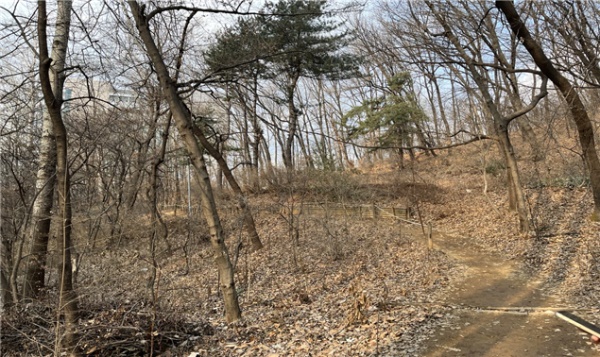  서울시의 협의매수가 완료된 서리풀 도시자연공원구역 등산로.