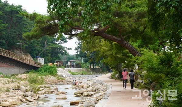  전 구간을 연결하는 산책로.