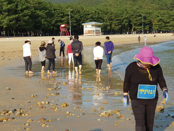 보물섬 맨발학교 회원들이 해변을 걷고 있다. 하남칠 교장은 "바닷물과 모래가 있는 해변은 맨발걷기의 최적지"라고 말한다.