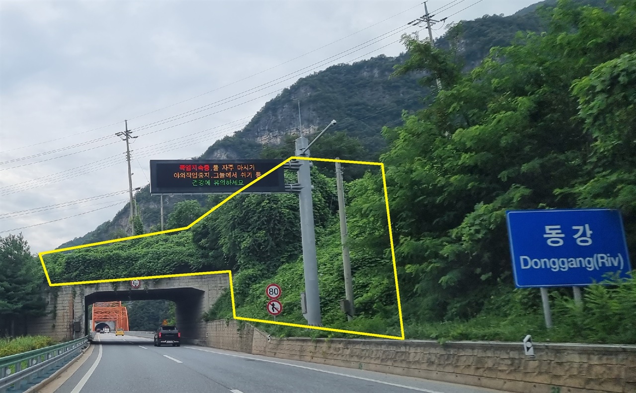 31번 국도 강원특별자치도 영월군 영월읍 덕포리 부근의 터널. 터널 입구 주변으로 칡덩굴이 빠른 속도로 번지고 있다. 