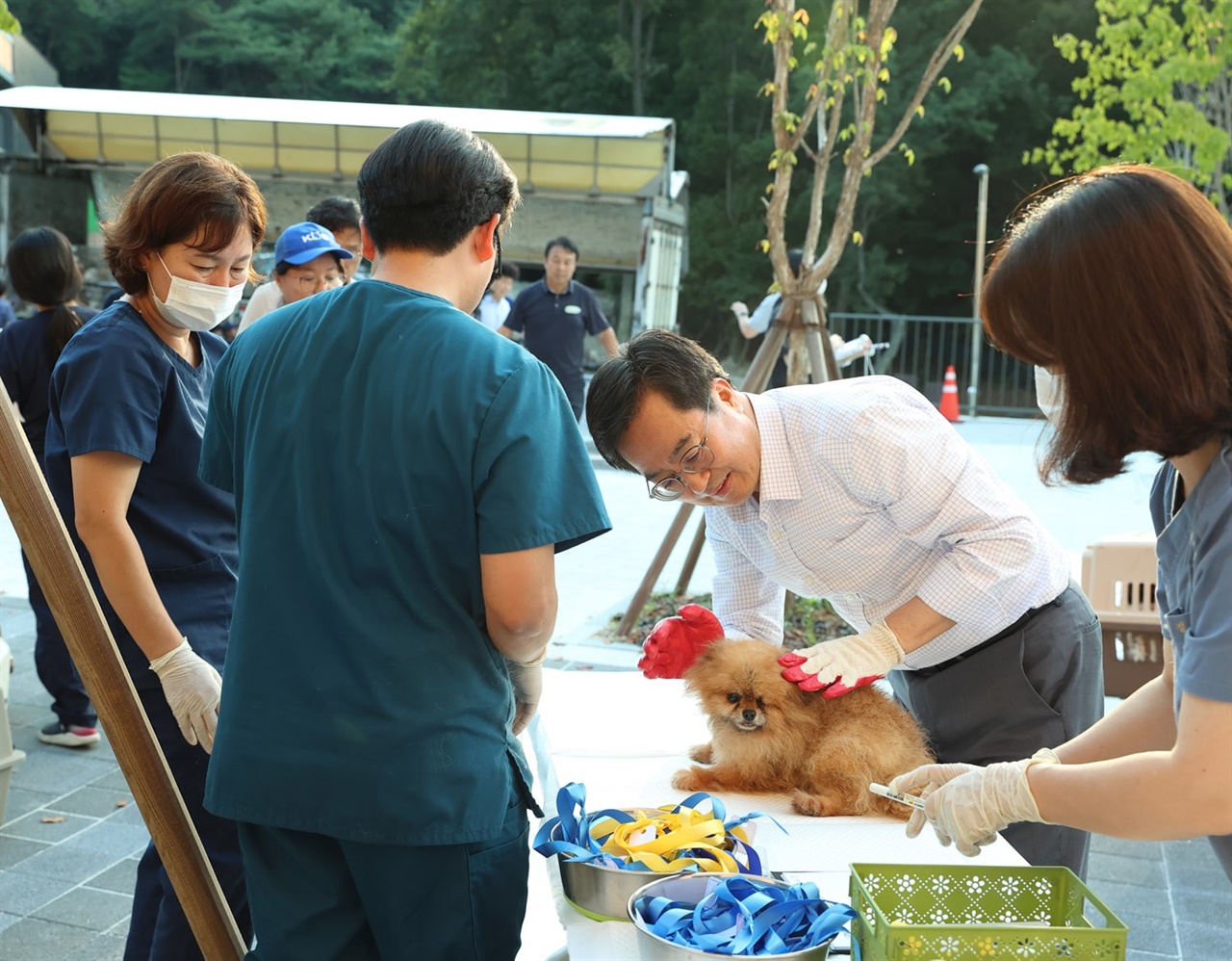 김동연 경기도지사가 2일 화성시 개 번식장에서 구조한 개들을 반려마루 여주로 옮기는 작업을 하고 있는 모습