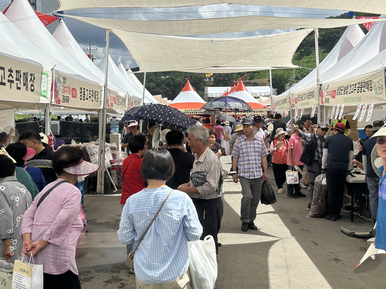 청양고추를 직접 구매할 수 있는 판매장에는 전국에서 방문한 관광객들로 연일 북적였다. 