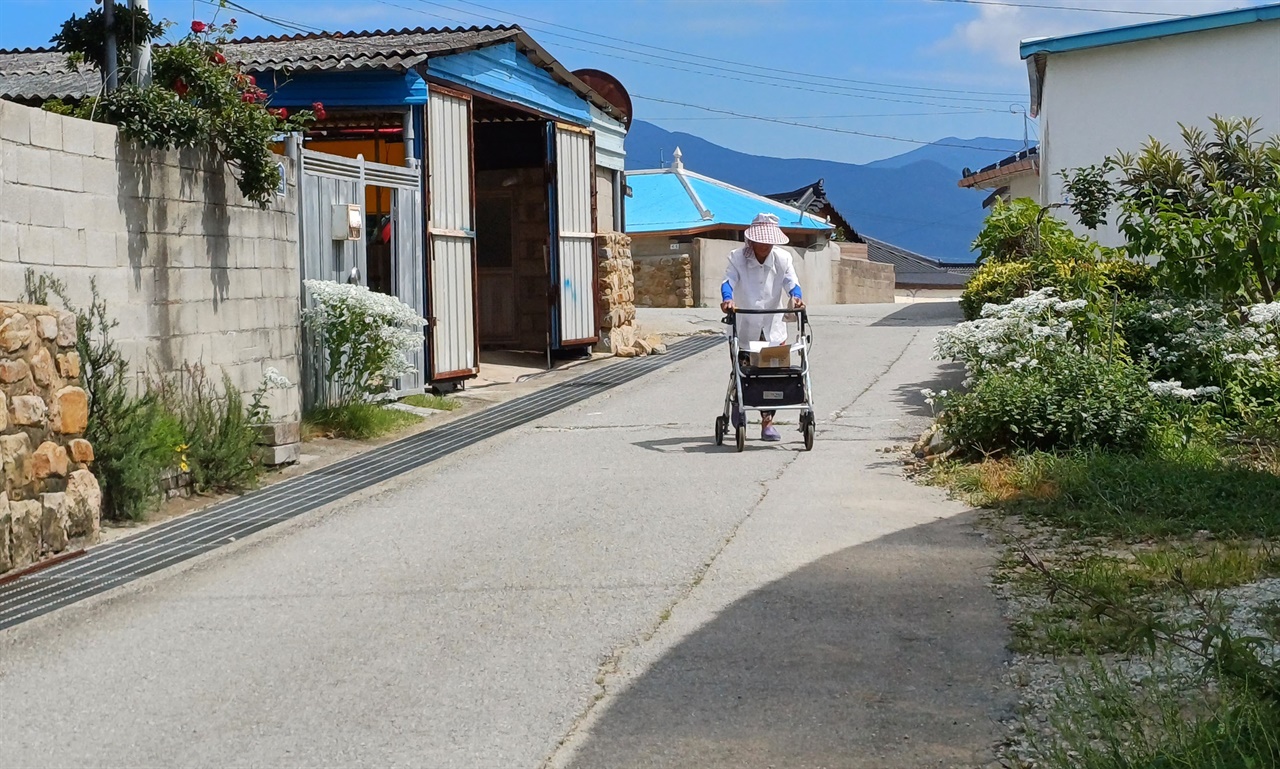 이진마을의 한낮 풍경. 마을회관에서 나온 어르신이 보행보조기에 의지해 집으로 가고 있다.
