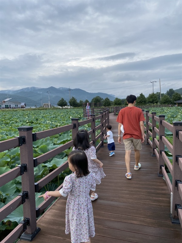 연꽃 소류지 지역신문을 통해 찾게 된 연꽃 소류지