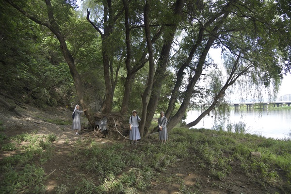 한 뿌리에서 다발로 자라난 팔현습지 왕버들숲의 한 왕버들 앞에서 수녀님들이 포즈를 취하고 있다. 