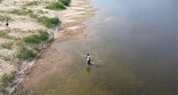 임도훈 시민행동 간사가 녹조가 핀 금강변을 조사하고 있다.