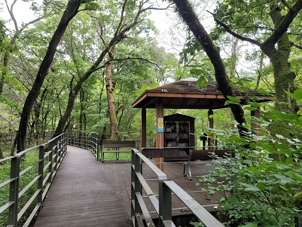 광릉숲길 중간에 숲속도서관이 조성돼 있다.