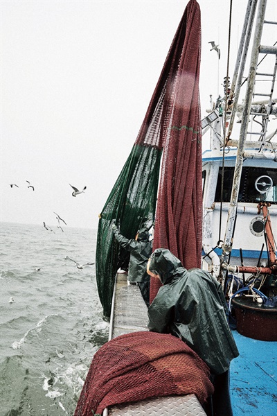 굴업도 인근 바다에서 삶의 희망을 낚아 올리는 ‘삼영호’ 사람들