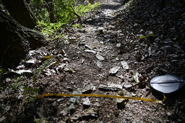 과거 용포마을 사람들은 대략 폭 50~70cm 정도의 오솔길을 이용해왔다. 이 길을 2017년 예천군이 폭 1.5m 정도의 탐방로로 정비했고, 이번 수해복구공사를 핑계로 평균 4m 이상 되는 신작로로 만들어 놓은 것이다. 