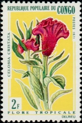 콩고 공화국 우표, 1971년, 27x41mm
