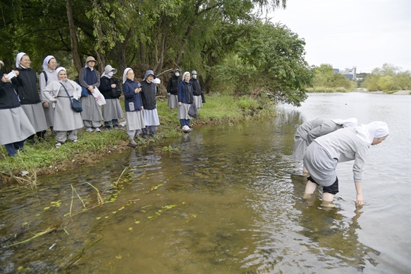 예수성심시녀회 수녀들이 금호강 팔현습지를 찾아 직접 강으로 들어서 금호강을 살펴보고 있다