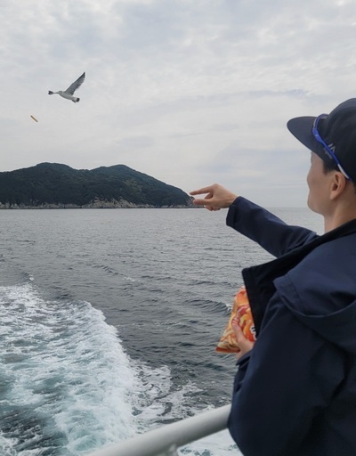 연화도 욕지도 선상 갈매와 교감하기/ 갈매기가 한 마리도 보이지 않다가 새우깡을 던져 주면 한마리, 두마리 모여들기 시작한다. 냄새를 맡을 줄 아 나보다