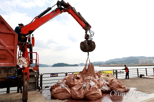 10월 13일 창원마산 김주열열사 시신 인양지 앞 바다에서 정어리 폐사체 수거 작업이 진행되고 있다.