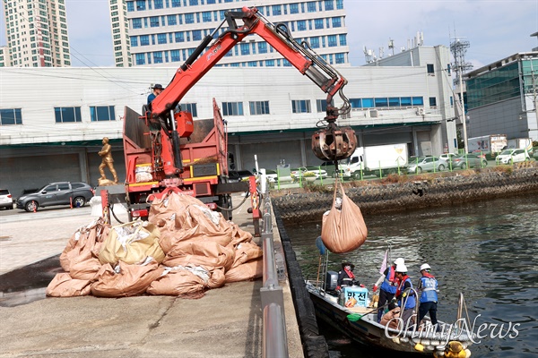 지난 13일 창원마산 김주열열사 시신 인양지 앞 바다에서 정어리 폐사체 수거 작업이 진행되고 있다.