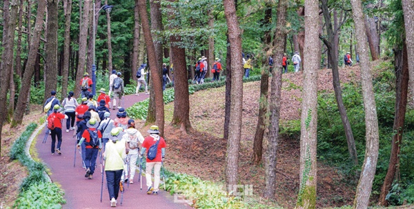 제2회 남해바래길 노르딕워킹 작은소풍이 지난 7일 읍내바래길 코스에서 진행됐다. 남산공원의 아름드리 소나무들이 걷는 이들을 호위하고 있다.