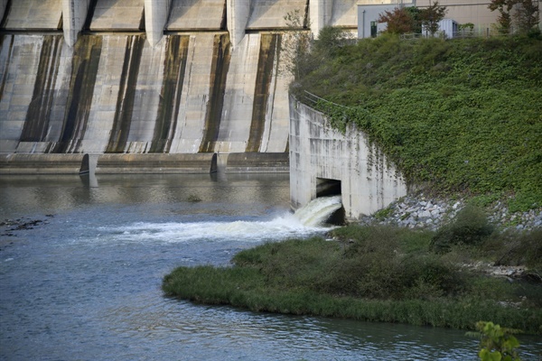 영주댐에서 녹조 물이 방류되고 있다. 이 물로 내성천에도 녹조가 발생하고 있다. 