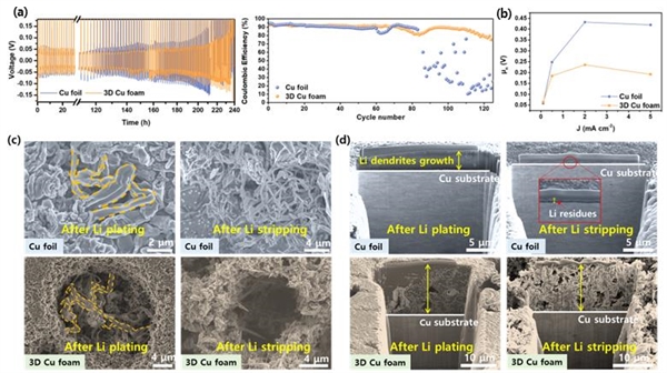  3차원 다공성 구리 음극 집전체 도입을 통한 전기화학 특성평가 및 리튬 덴드라이트 형성 이미지.

(a) 기존 구리 호일 대비 낮은 분극 전압 및 향상된 쿨롱 효율을 보이는 3차원  다공성 구리 집전체 
(b) 구리호일과 3차원 다공성 구리 음극 집전체에 대한 다양한 전류 밀도에서의 리튬 핵생성 과전압 비교 
(b,c) 구리 호일 및 3차원 다공성 구리 구조체에 전착된 리튬 덴드라이트 이미지(SEM, FIB-SEM) 
   - 리튬 전착 시, 덴드라이트가 구리 호일 표면에 무작위적으로 형성된  반면, 3차원 다공성 구리 음극 구조체에는 기공 내에 우선적으로 전착  
   - 리튬 탈리 시, 구리 호일 표면에 일부 잔류 리튬들이 남아 있지만, 3차원 다공성 구리 음극 구조체에서는 잔류 리튬 없이 가역적인 전착 및 탈리